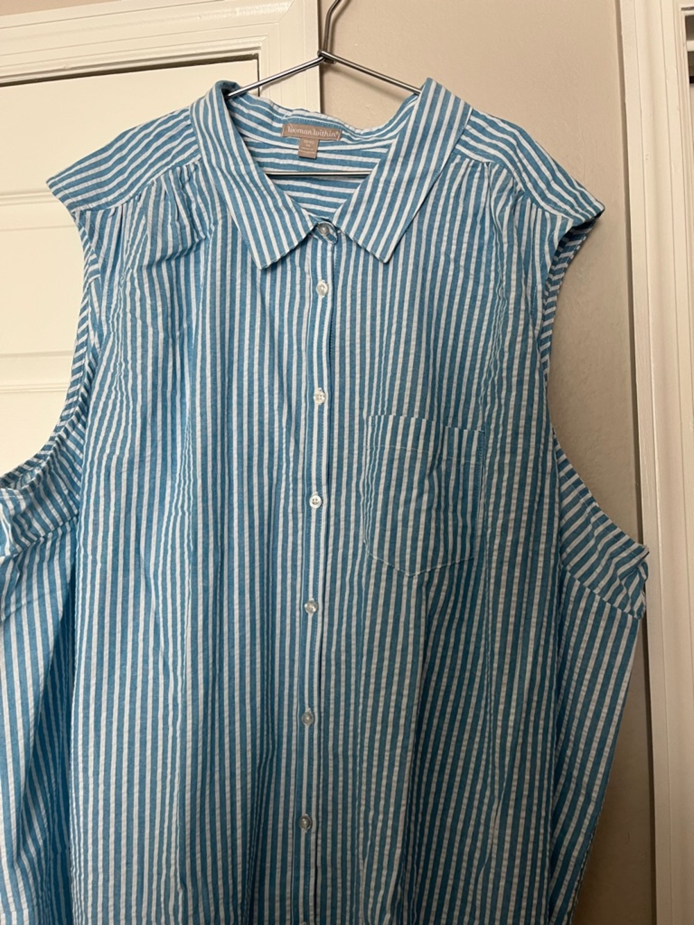 Woman Within Blue and White Striped Button-Down Shirt